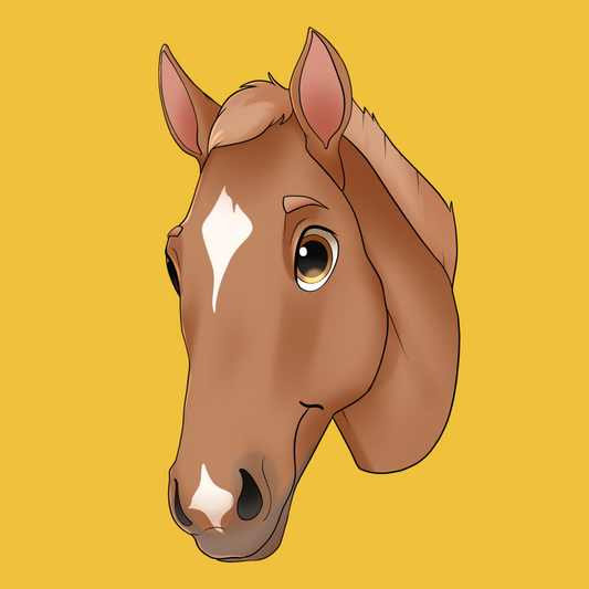 Hand Drawn & Personalized Womens Horse T-shirt - Fairytale Cartoon