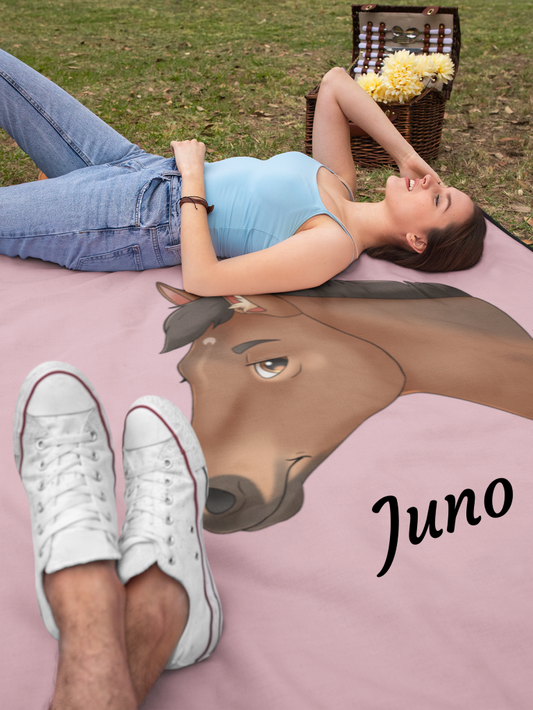 Hand Drawn & Personalized Horse Blanket - Fairytale Cartoon