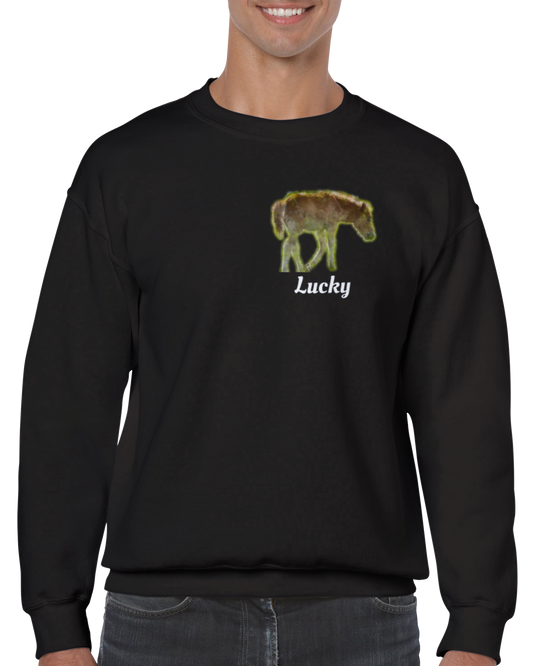 Hand Drawn Horse || Unisex Crewneck Sweatshirt - Oil Painting - Personalized; Personalized with your horse