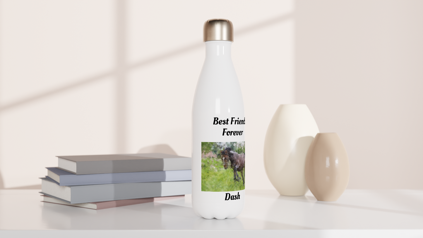 Hand Drawn Horse || 17oz Stainless Steel Water Bottle - Oil Painting - Personalized; Personalized with your horse